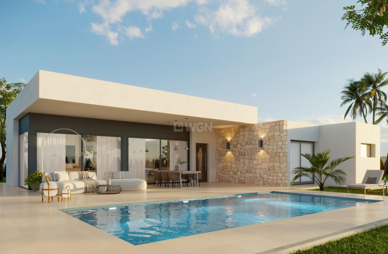 Obra nueva - Villa - Aspe - Poligono 19