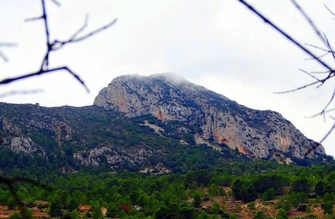 Obra nueva - Villa - La Romana - Batistes