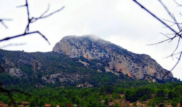 Nowy budynek - Villa - La Romana - Batistes