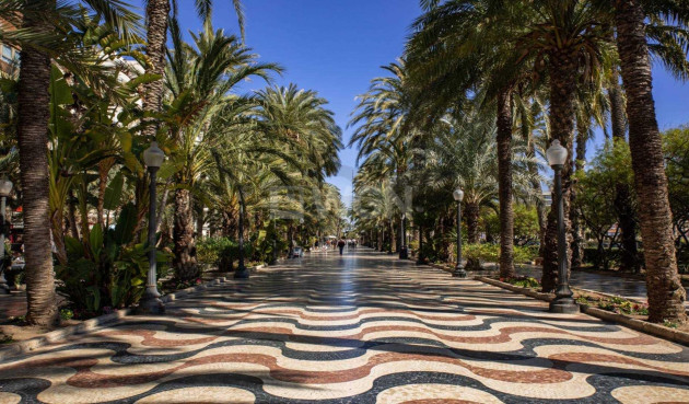 Nowy budynek - Daszek - Alicante - Centro