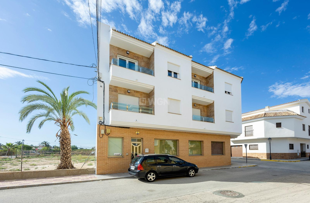 Obra nueva - Apartamento / piso - Jacarilla - pueblo