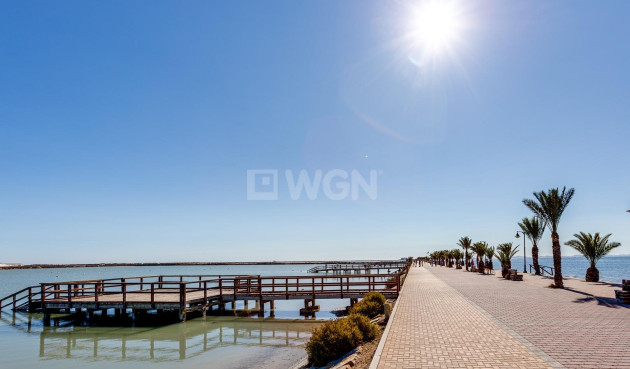 Neue Gebäude - Villa - Pilar de la Horadada