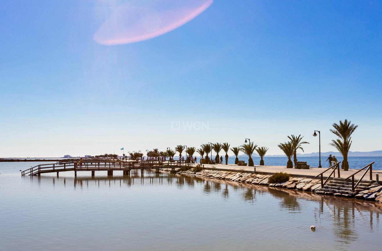 Neue Gebäude - Villa - Pilar de la Horadada