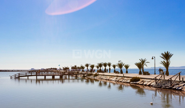 Neue Gebäude - Villa - Pilar de la Horadada