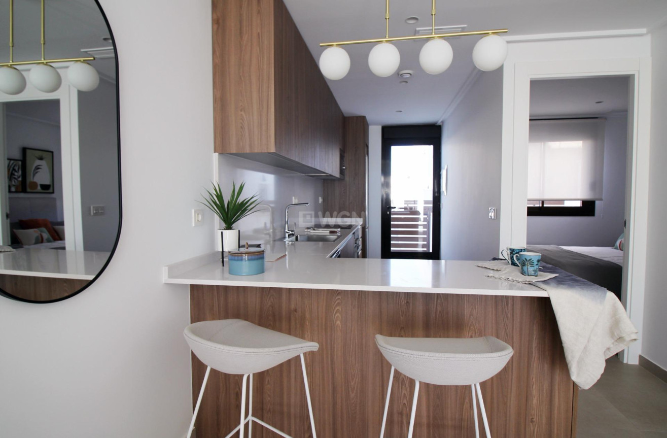 New Build - Townhouse - Pilar de la Horadada - parque Andromeda