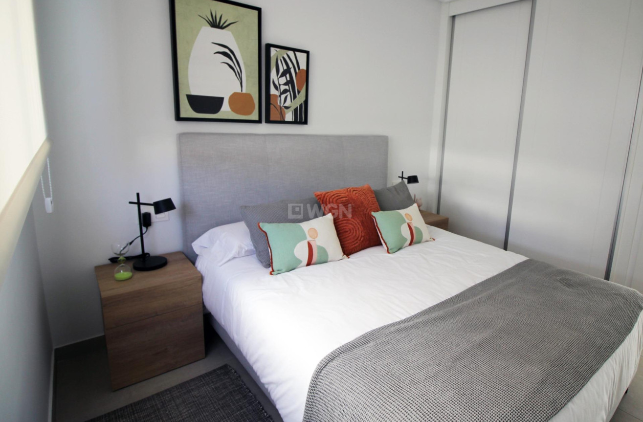 New Build - Townhouse - Pilar de la Horadada - parque Andromeda