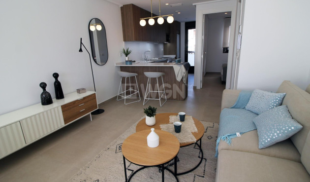 New Build - Townhouse - Pilar de la Horadada - parque Andromeda