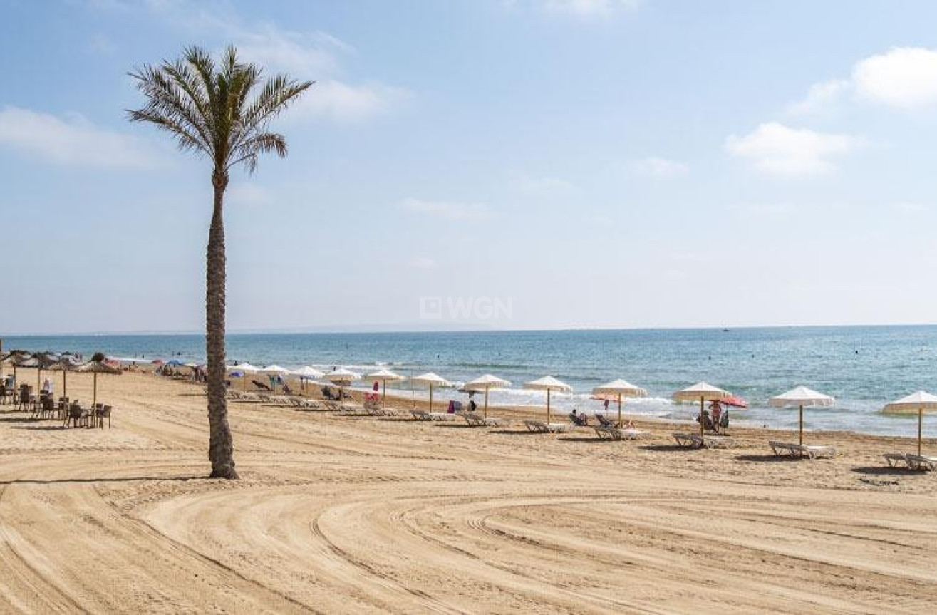 Neue Gebäude - Penthouse - Guardamar del Segura - Pueblo