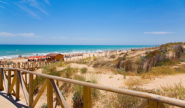 Neue Gebäude - Penthouse - Guardamar del Segura - Pueblo