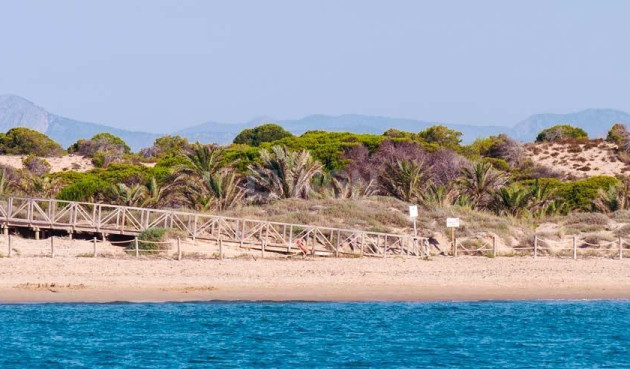 Neue Gebäude - Penthouse - Guardamar del Segura - Pueblo