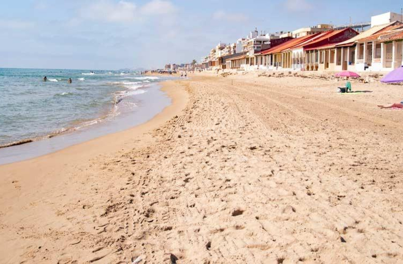 Obra nueva - Apartamento / piso - Guardamar del Segura - Pueblo