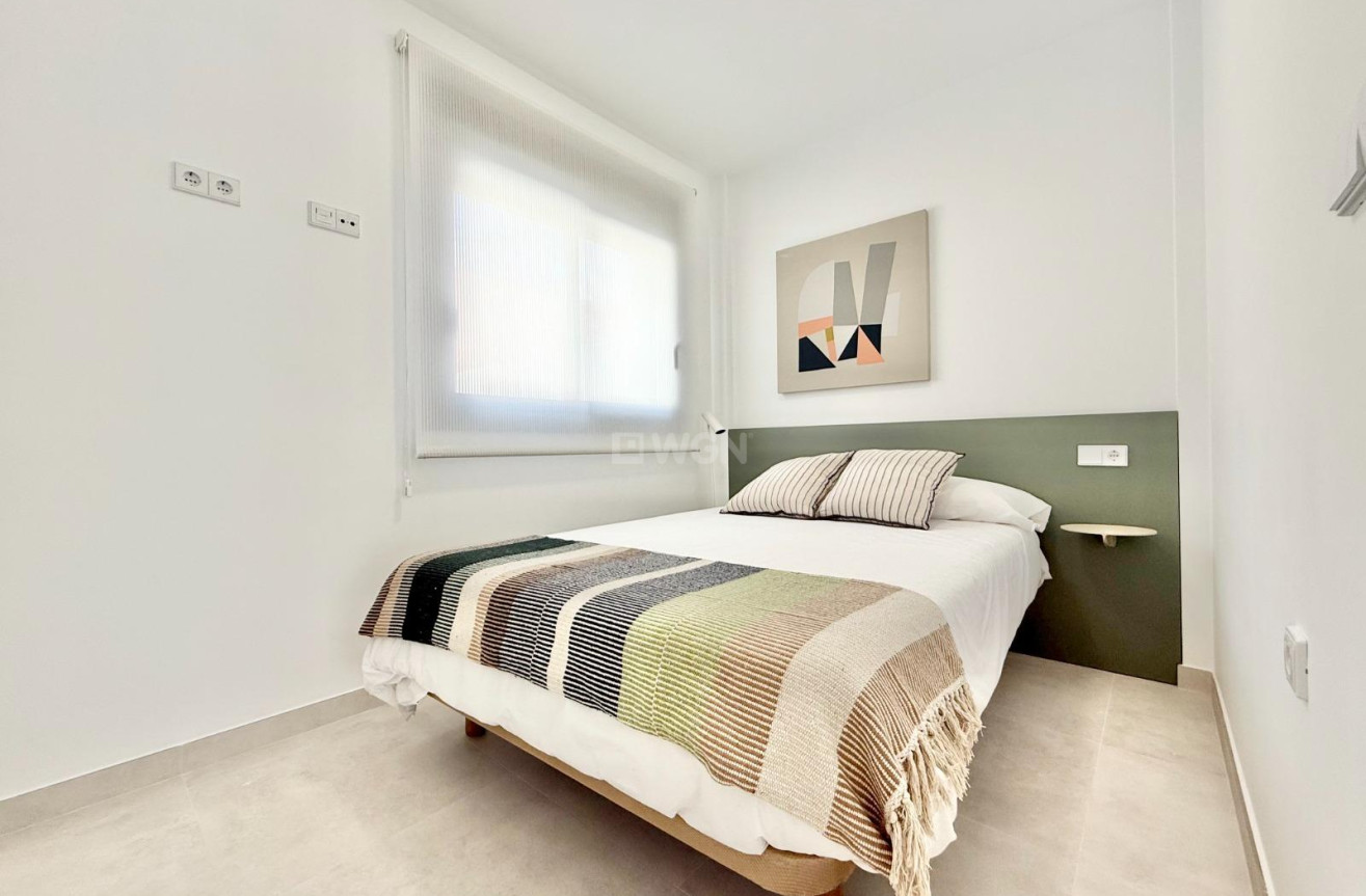 Nowy budynek - Kamienica - Cox - San Fernando