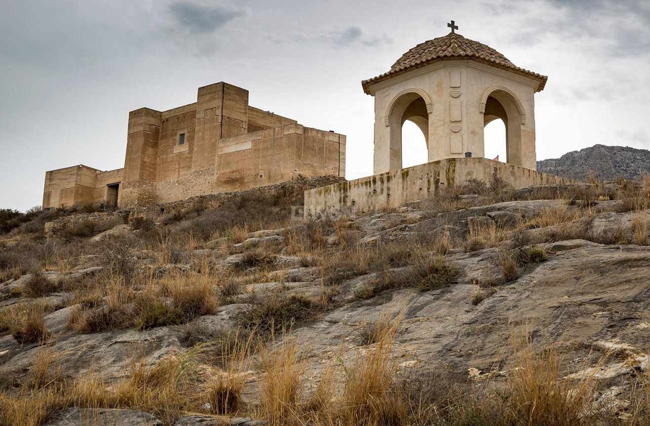 Nowy budynek - Kamienica - Cox - San Fernando