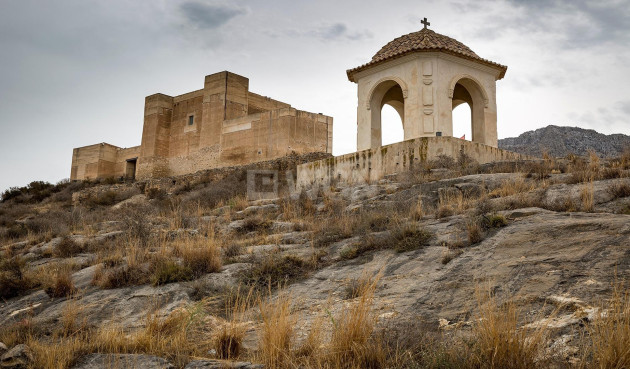 Nowy budynek - Kamienica - Cox - San Fernando