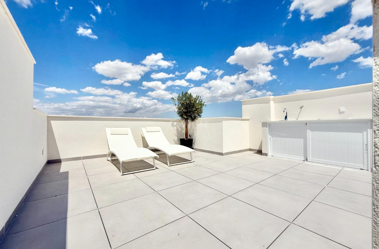 Nowy budynek - Kamienica - Cox - San Fernando