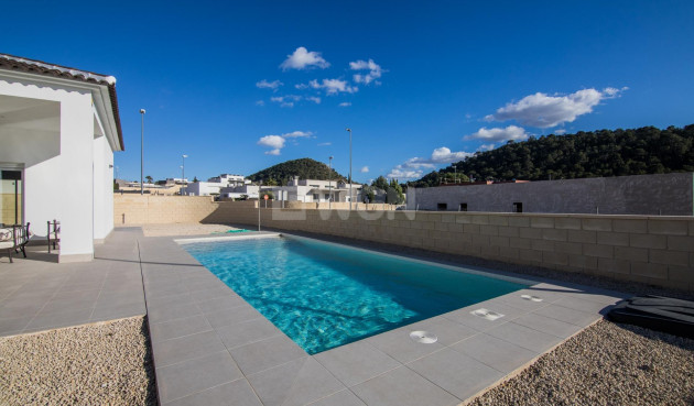 New Build - Villa - Pinoso - Lel