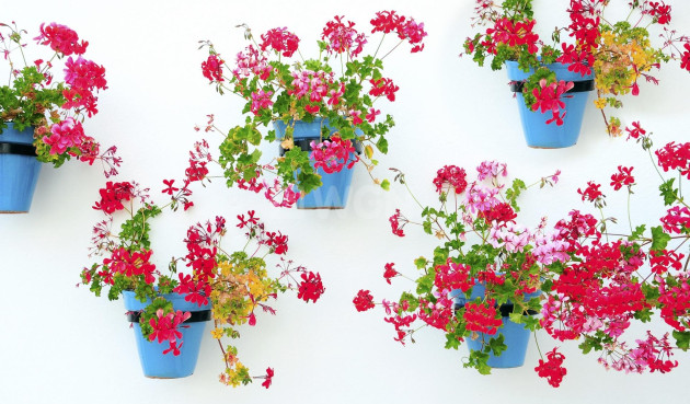 Nowy budynek - Mieszkanie w bloku - Mijas - La Noria Golf