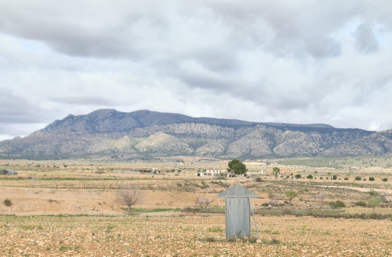 Odsprzedaż - Villa - Torre Del Rico - Inland