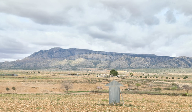 Odsprzedaż - Villa - Torre Del Rico - Inland