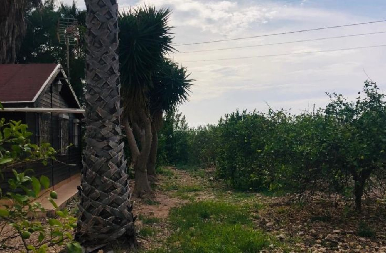 Odsprzedaż - Villa - Orihuela - Inland