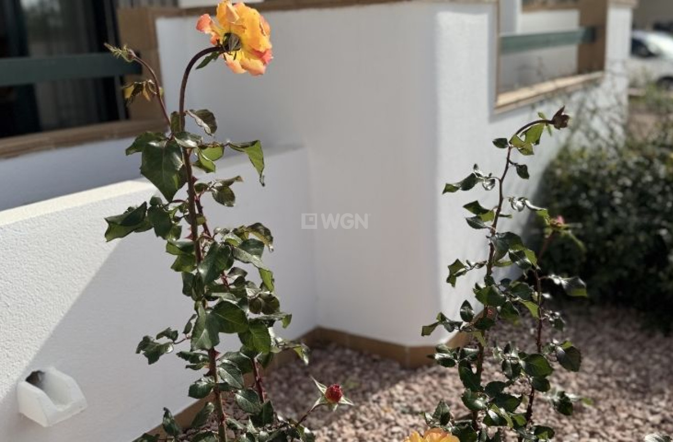 Resale - Apartment / flat - Orihuela Costa - Costa Blanca