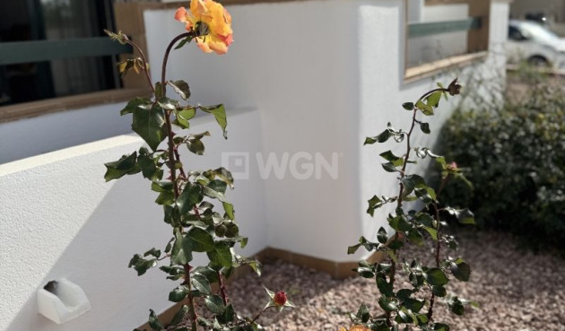 Resale - Apartment / flat - Orihuela Costa - Costa Blanca