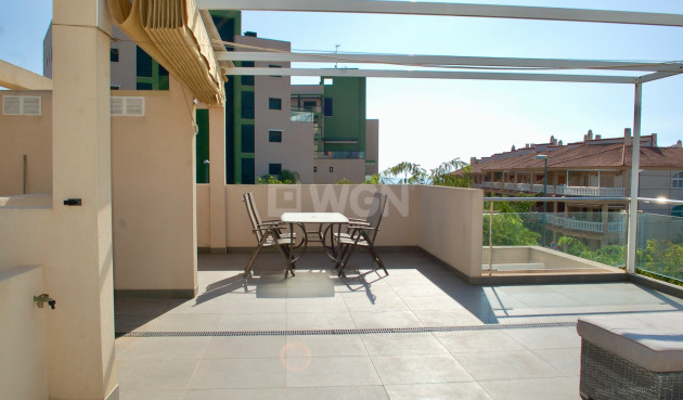 Wiederverkauf - Bungalow - Pilar de la Horadada - Costa Blanca