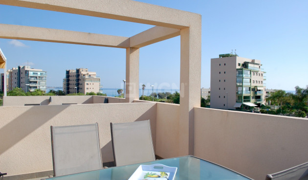 Wiederverkauf - Bungalow - Pilar de la Horadada - Costa Blanca