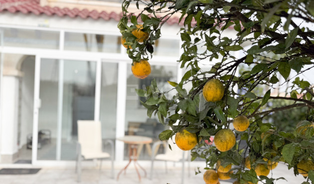 Wiederverkauf - Bungalow - Orihuela Costa - Costa Blanca