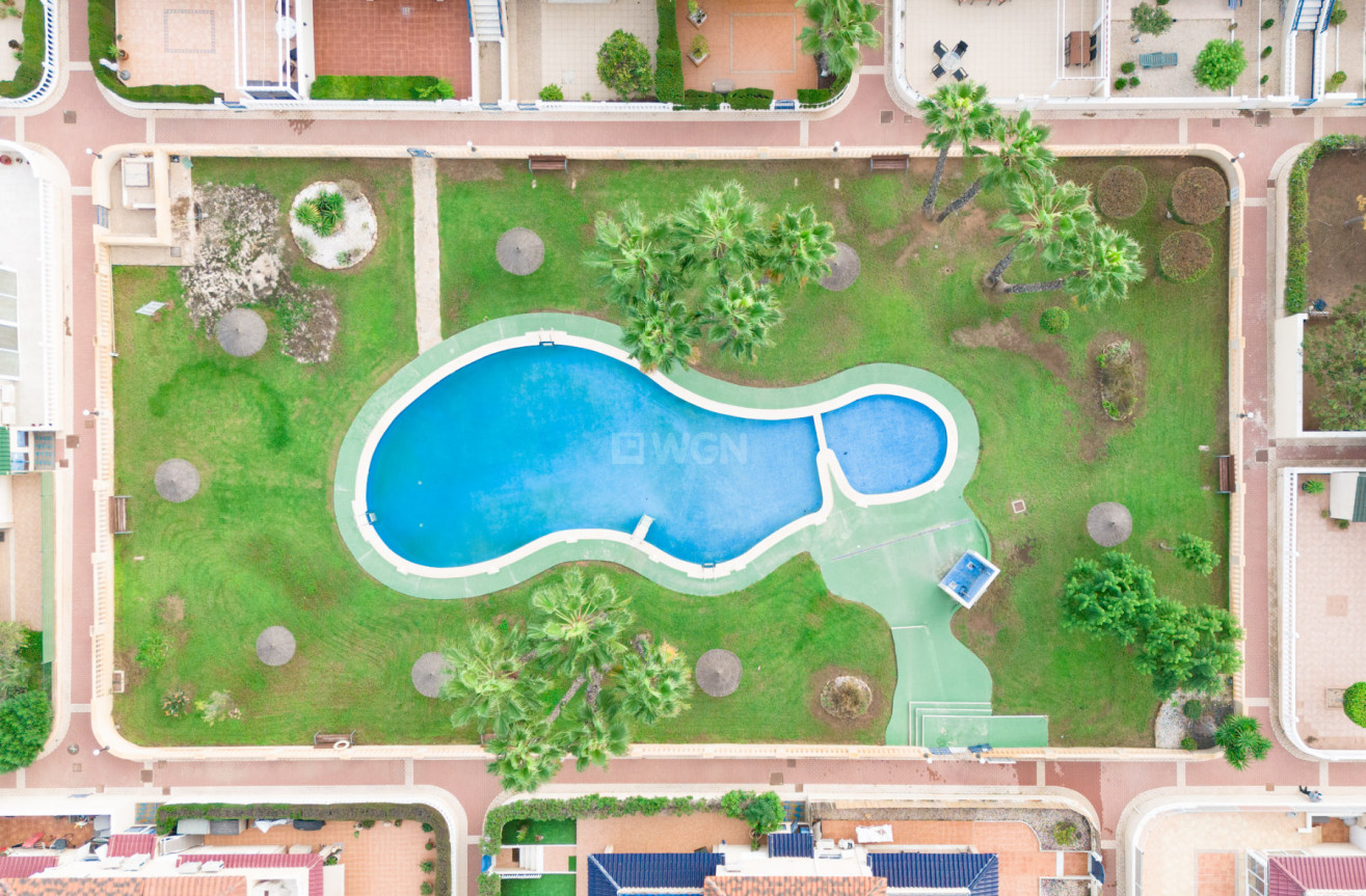 Wiederverkauf - Bungalow - Orihuela Costa - Costa Blanca