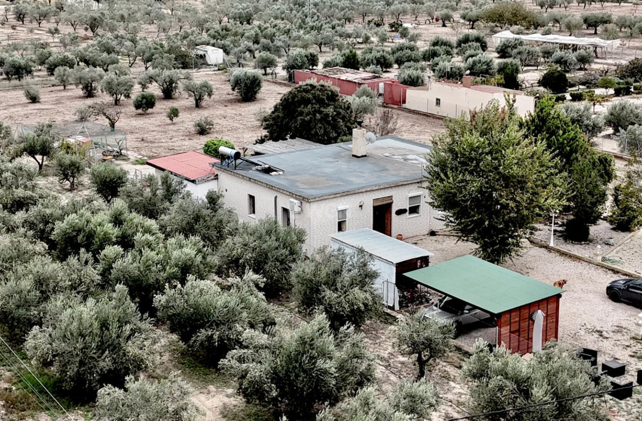 Wiederverkauf - Villa - Salinas - Inland