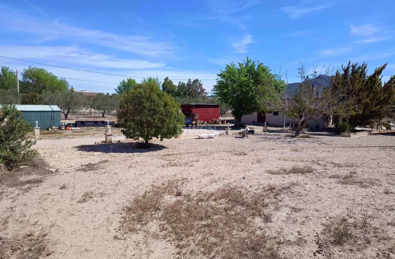 Wiederverkauf - Villa - Salinas - Inland