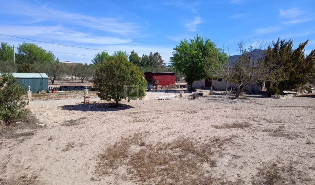 Wiederverkauf - Villa - Salinas - Inland