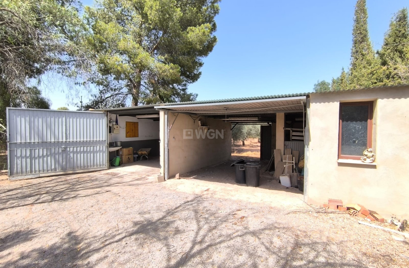 Wiederverkauf - Villa - Jumilla - Inland