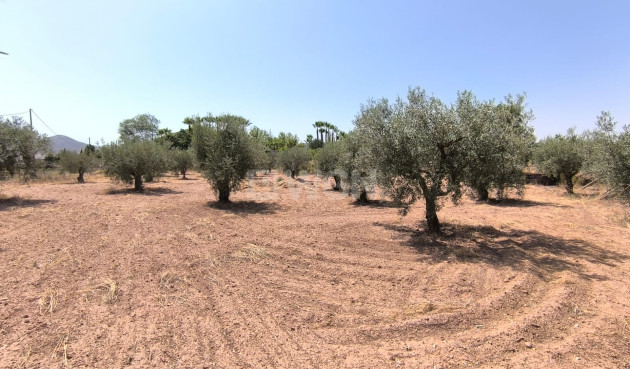 Wiederverkauf - Villa - Jumilla - Inland