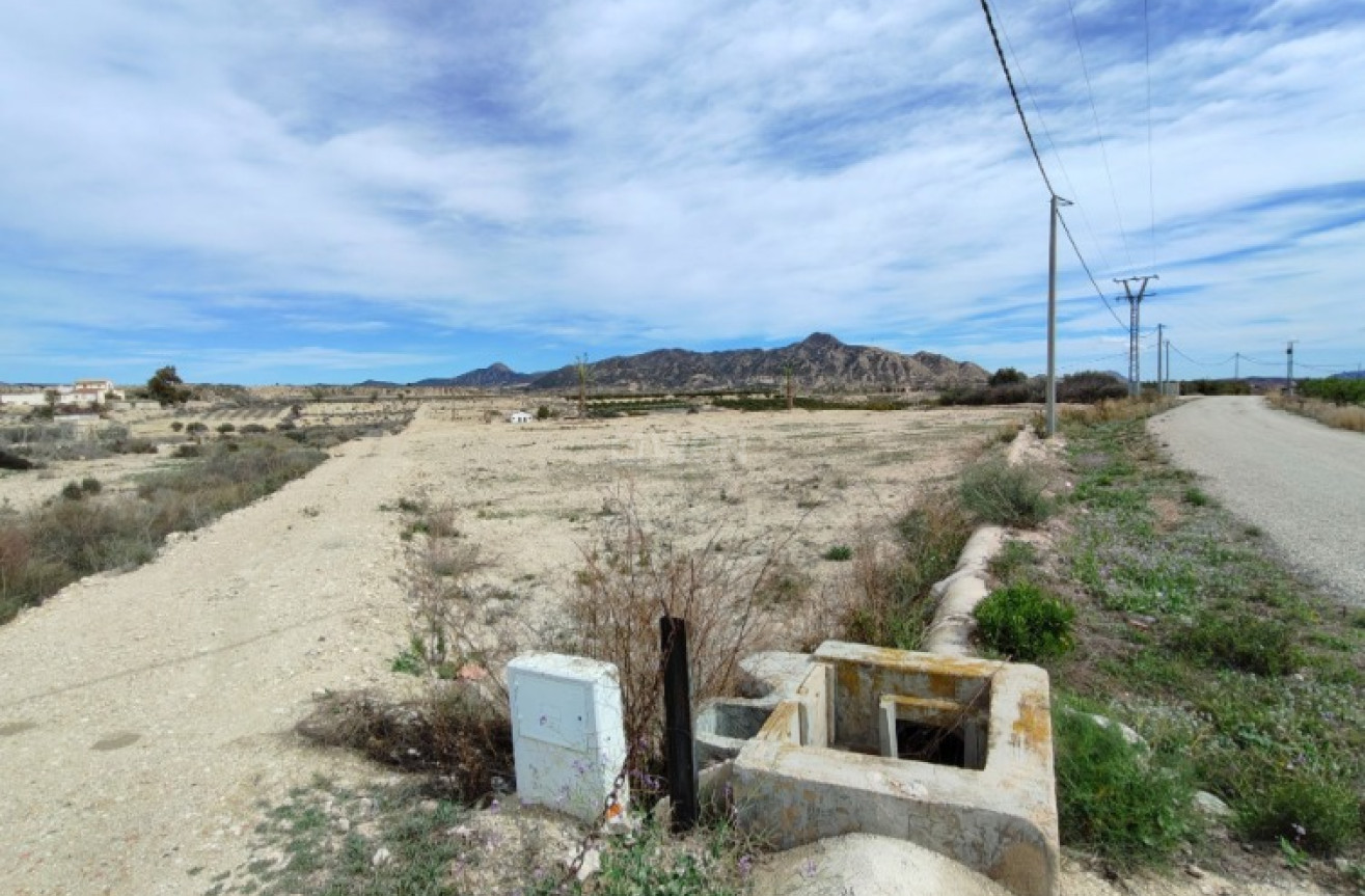 Reventa - Villa - Abanilla - Inland