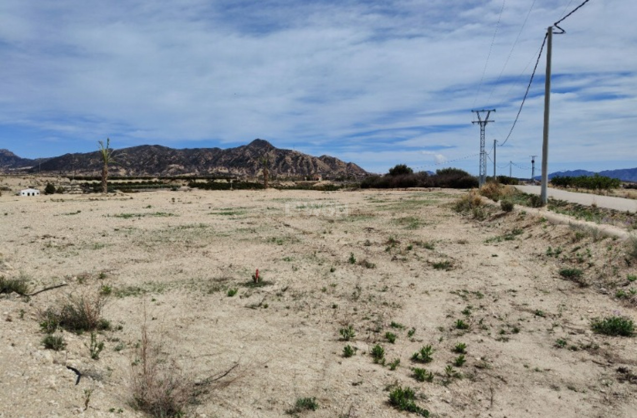 Reventa - Villa - Abanilla - Inland