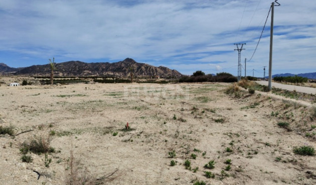 Reventa - Villa - Abanilla - Inland