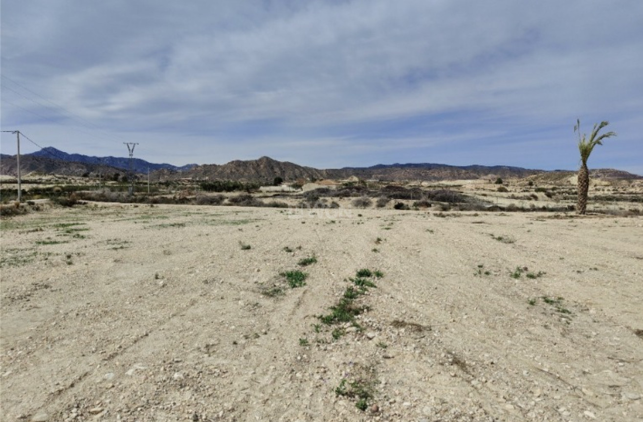 Reventa - Villa - Abanilla - Inland