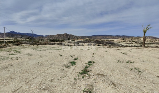 Reventa - Villa - Abanilla - Inland