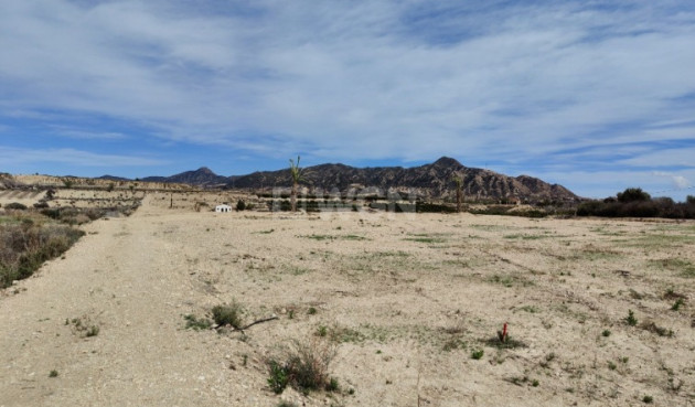 Reventa - Villa - Abanilla - Inland