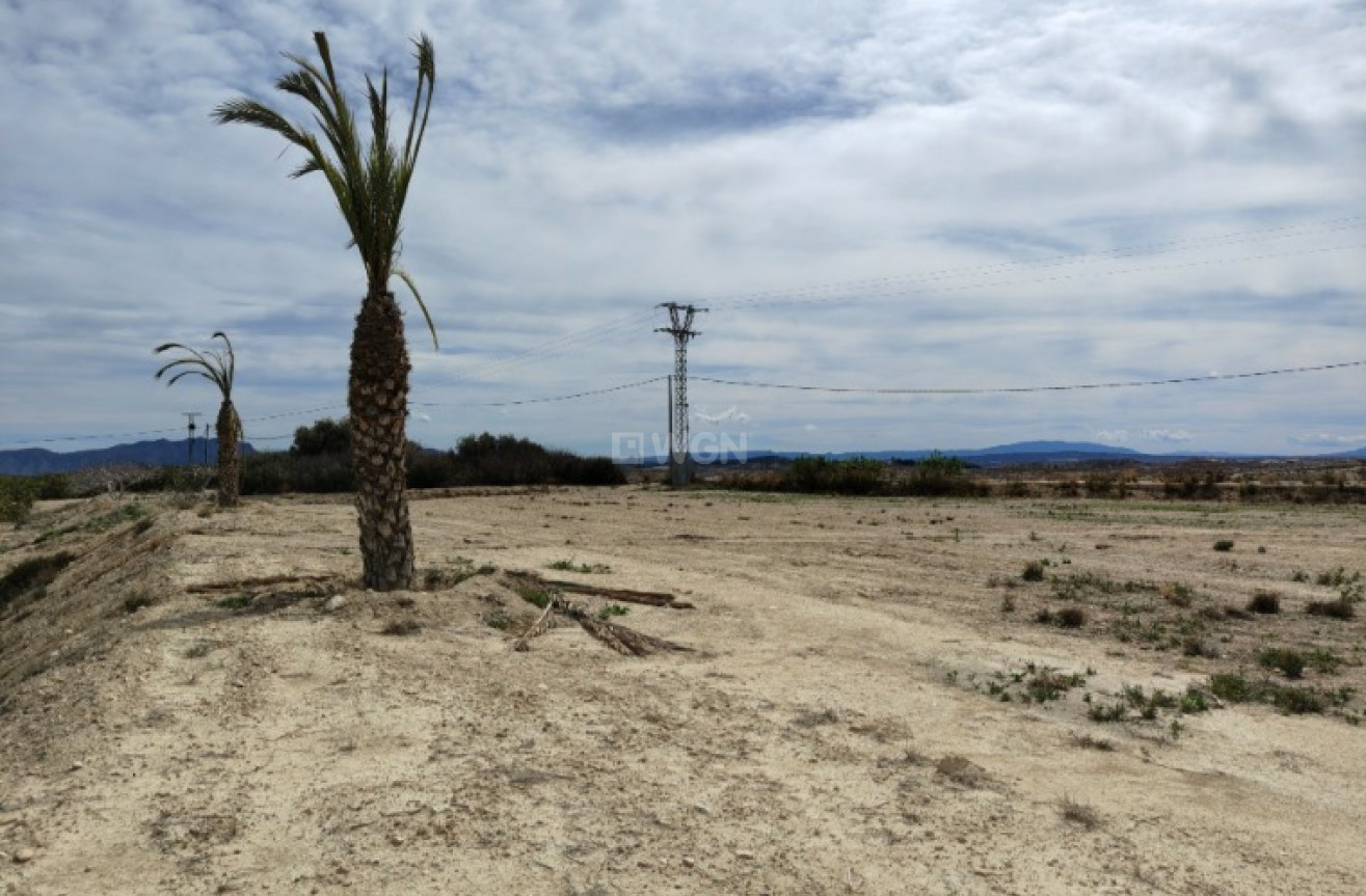 Reventa - Villa - Abanilla - Inland