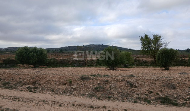 Odsprzedaż - Działka / Grunt - Yecla - Inland