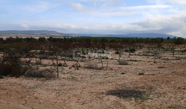 Odsprzedaż - Działka / Grunt - Yecla - Inland