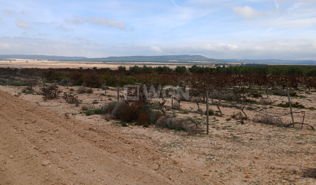 Odsprzedaż - Działka / Grunt - Yecla - Inland