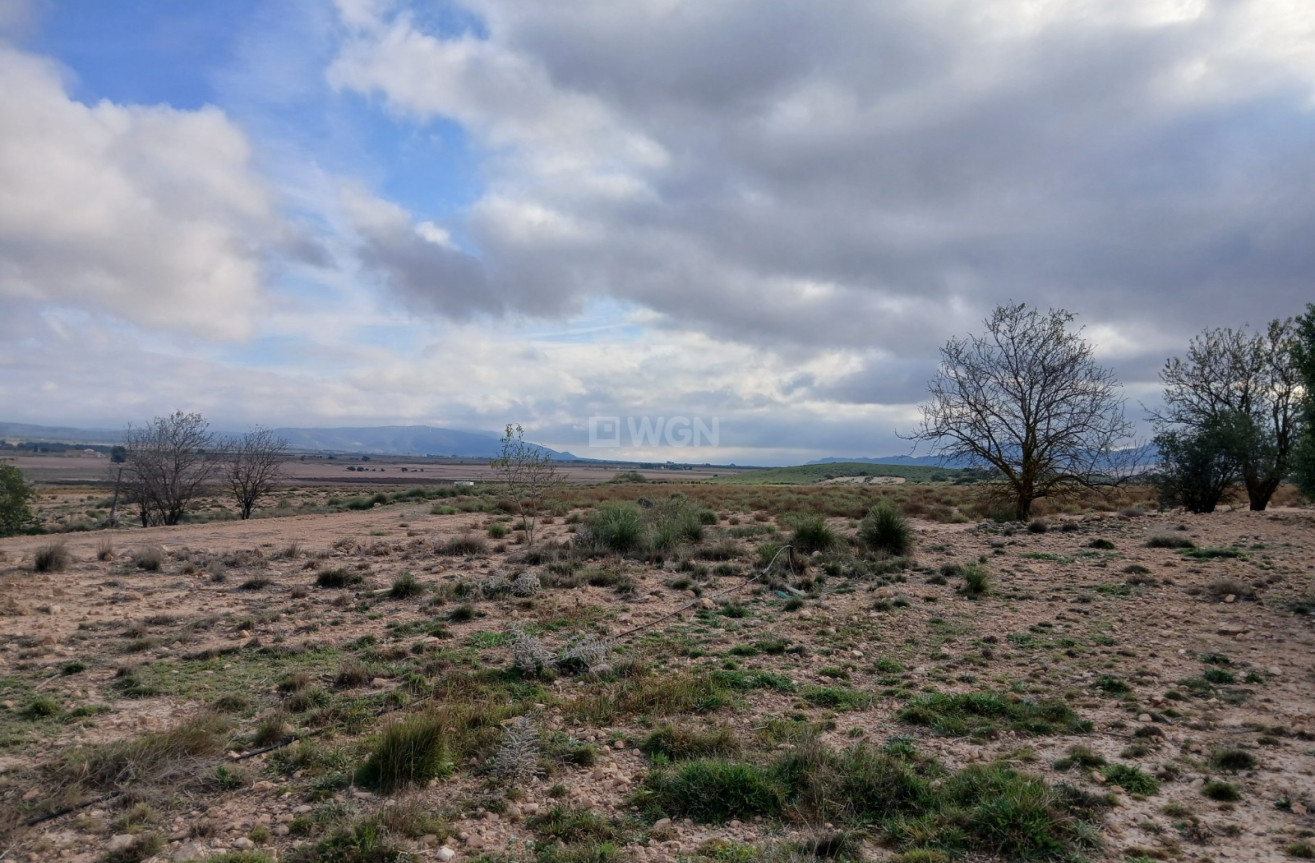 Odsprzedaż - Działka / Grunt - Yecla - Inland