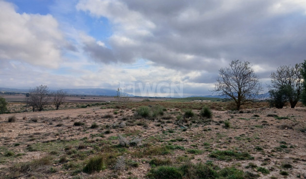 Odsprzedaż - Działka / Grunt - Yecla - Inland