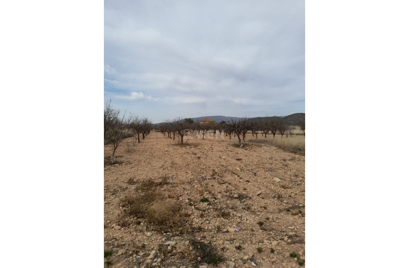 Odsprzedaż - Kamienica - Casas Del Señor - Inland