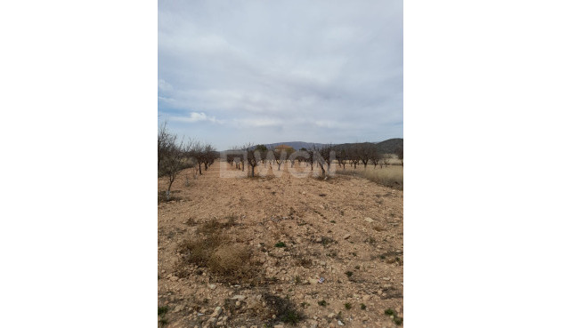 Odsprzedaż - Kamienica - Casas Del Señor - Inland