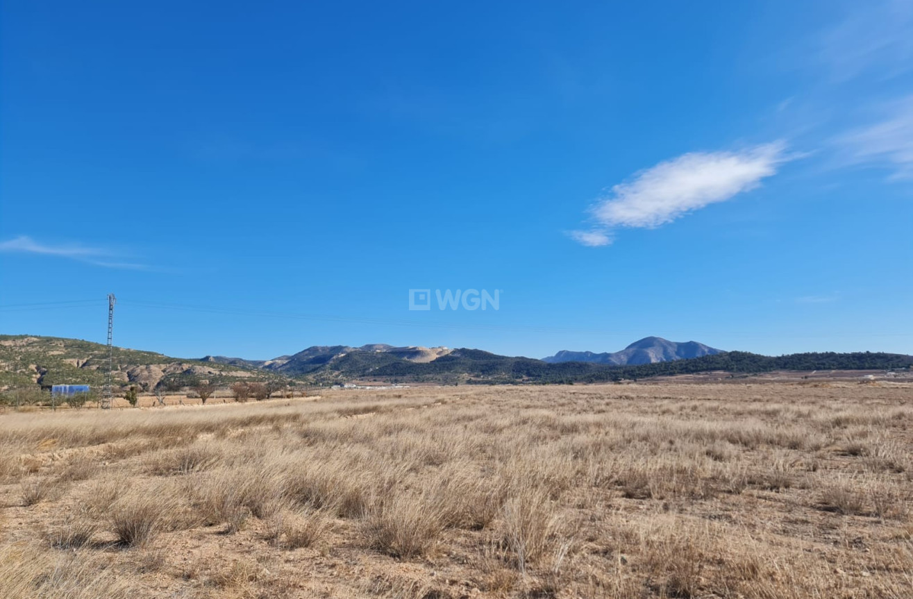 Odsprzedaż - Villa - Pinoso - Inland